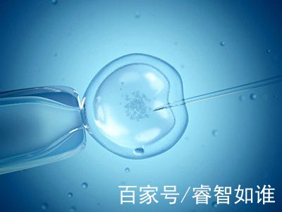首席专家